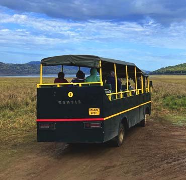Dhikala Canter Safari, Jim Corbett Natinal Park