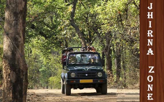 Jhirna Safari Zone, Jim Corbett National Park