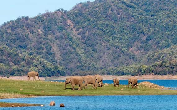Corbett Landscape Safari Zone, Jim Corbett National Park