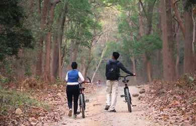 Mountain Biking, Jim Corbett Natinal Park
