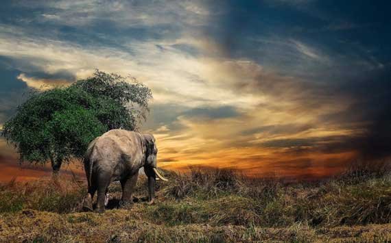 Pakhro Safari Zone, Jim Corbett National Park