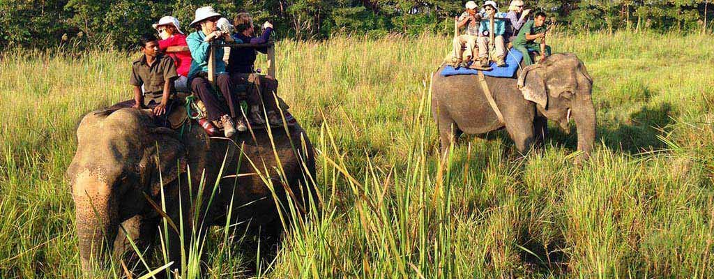 Elephant Safari Online Booking & Tariff Jim Corbett National Park