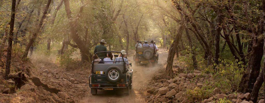 Jeep Safari Online Booking & Tariff Jim Corbett National Park